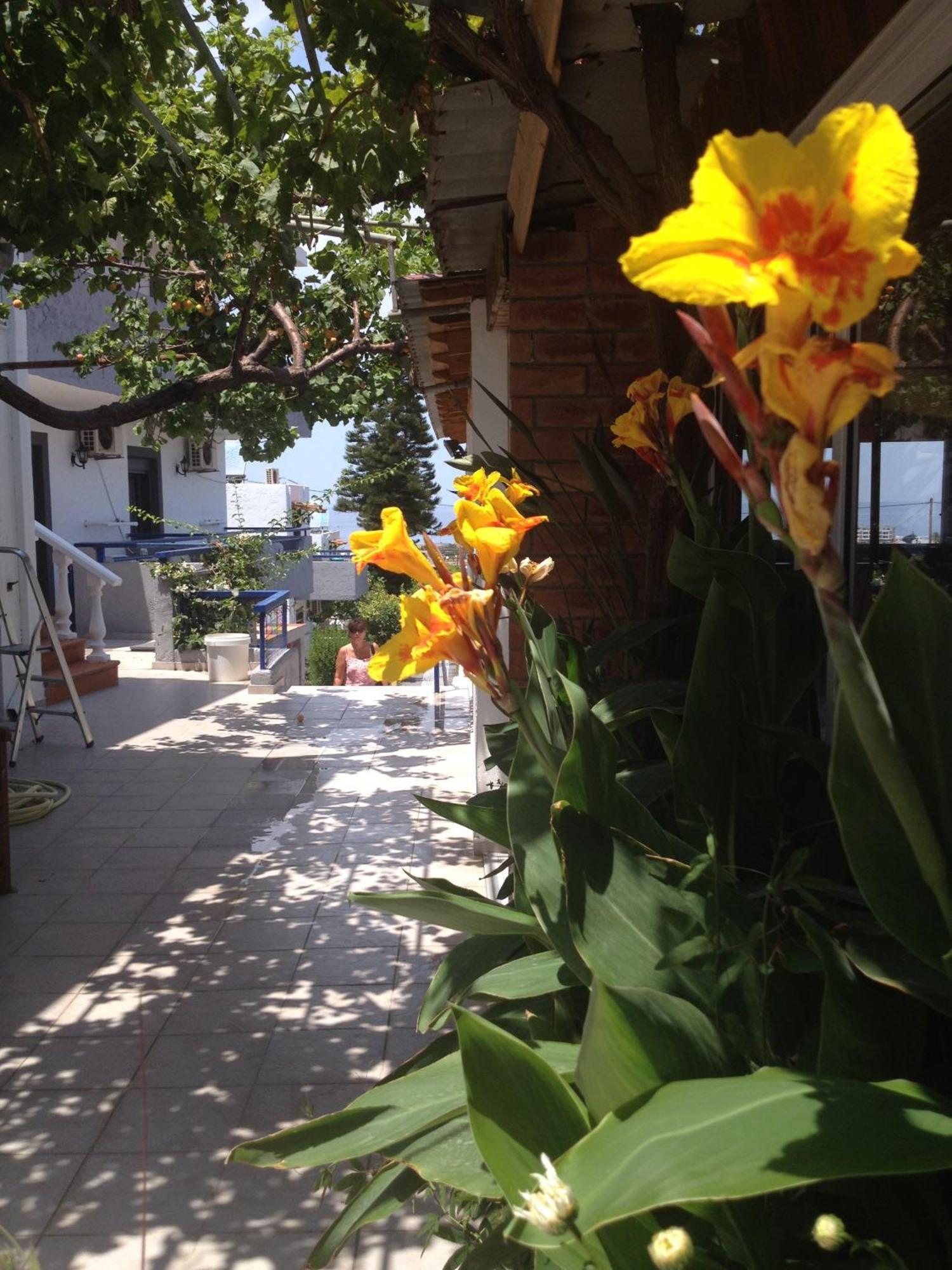 Villa Marina แอร์ซอนิสซอส ภายนอก รูปภาพ